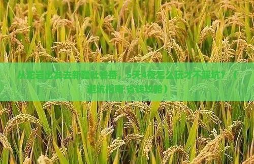 龙岩去新疆吐鲁番旅行社