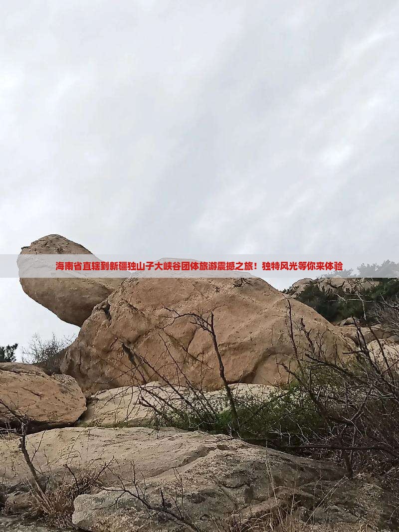 海南省直辖到新疆独山子大峡谷团体旅游