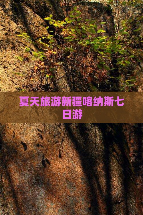 夏天去新疆喀纳斯七日游