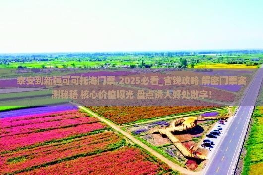 泰安到新疆可可托海门票