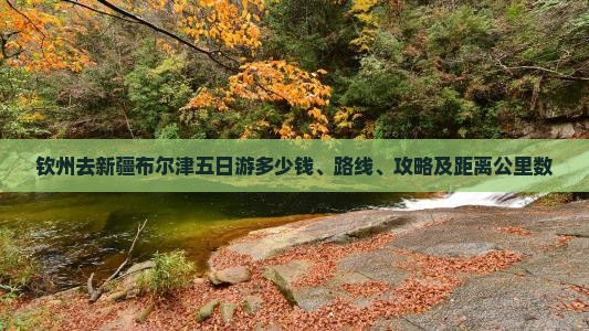 钦州去新疆布尔津五日游