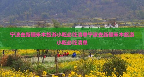 宁波去新疆禾木旅游小吃