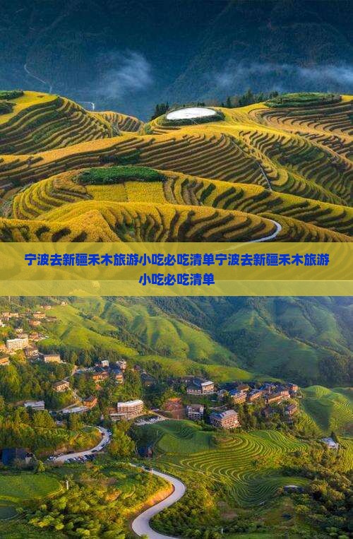 宁波去新疆禾木旅游小吃
