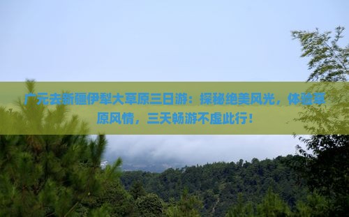广元去新疆伊犁大草原三日游