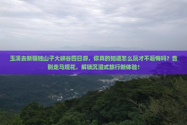 玉溪去新疆独山子大峡谷四日游