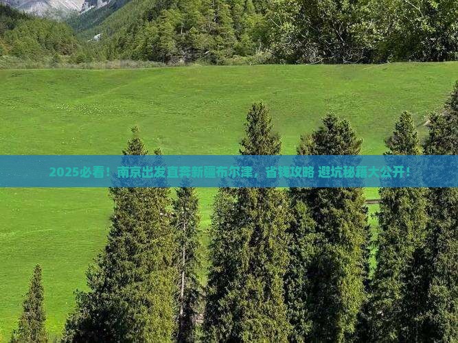 南京到新疆布尔津旅行社