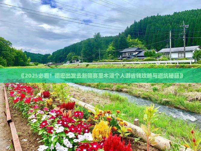 德宏去新疆赛里木湖个人游
