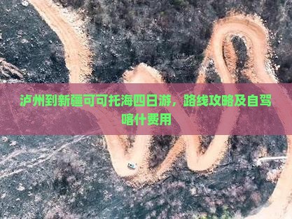 泸州到新疆可可托海四日游