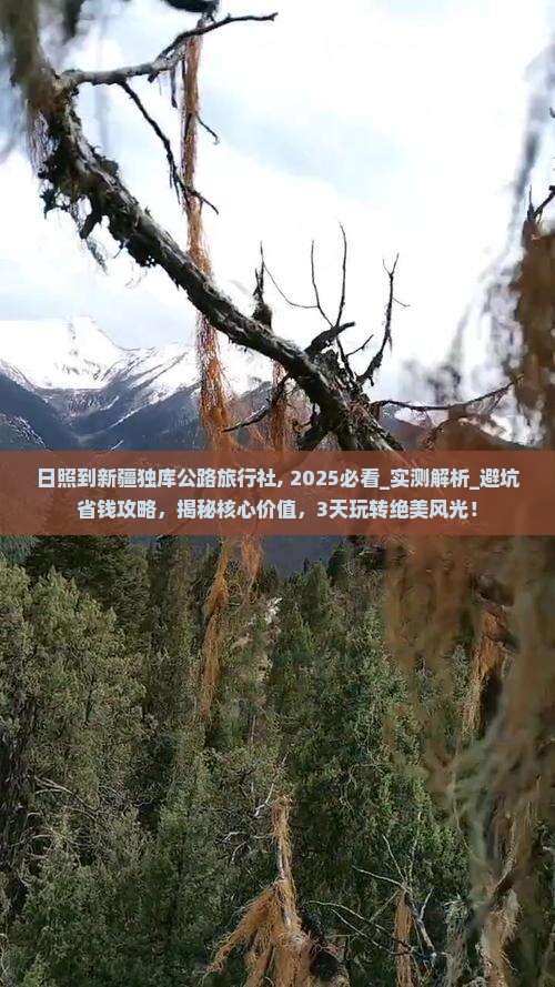 日照到新疆独库公路旅行社