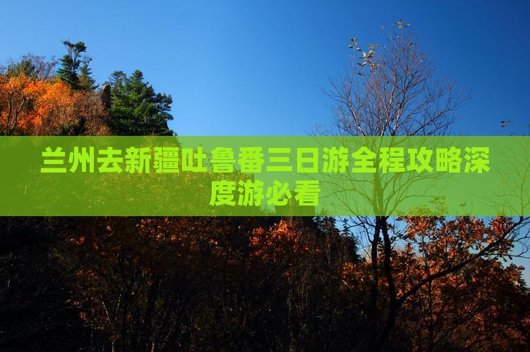 兰州去新疆吐鲁番三日游