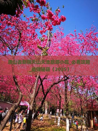 唐山去新疆天山天池旅游小吃
