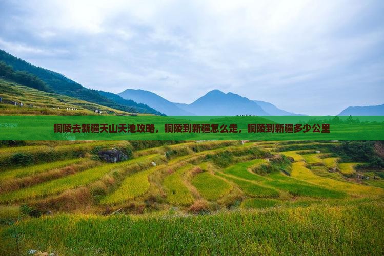 铜陵去新疆天山天池攻略