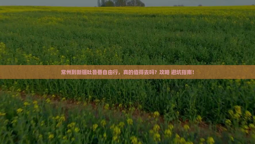常州到新疆吐鲁番自由行