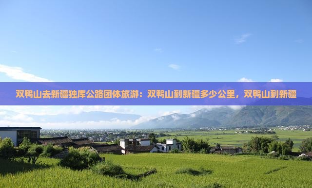 双鸭山去新疆独库公路团体旅游