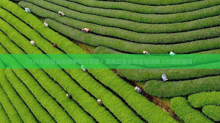滨州到新疆伊犁大草原攻略