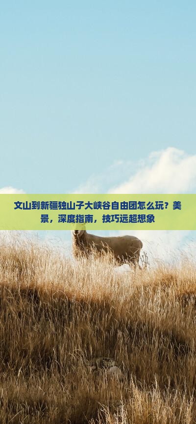 文山到新疆独山子大峡谷自由团