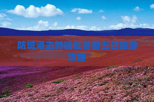 防城港去新疆吐鲁番五日游