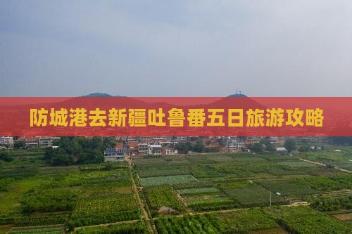 防城港去新疆吐鲁番五日游