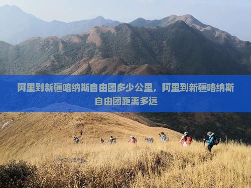 阿里到新疆喀纳斯自由团