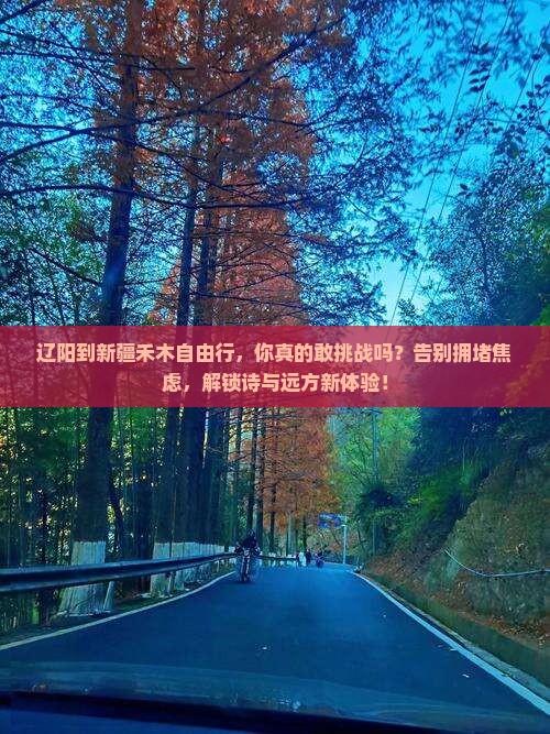 辽阳到新疆禾木自由行