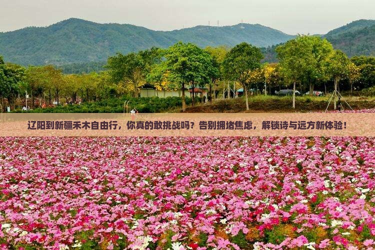 辽阳到新疆禾木自由行