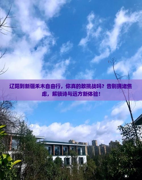 辽阳到新疆禾木自由行