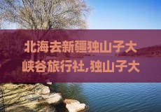 北海去新疆独山子大峡谷旅行社