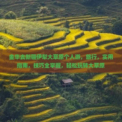 金华去新疆伊犁大草原个人游