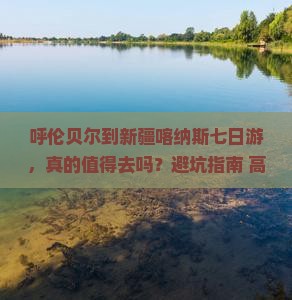 呼伦贝尔到新疆喀纳斯七日游