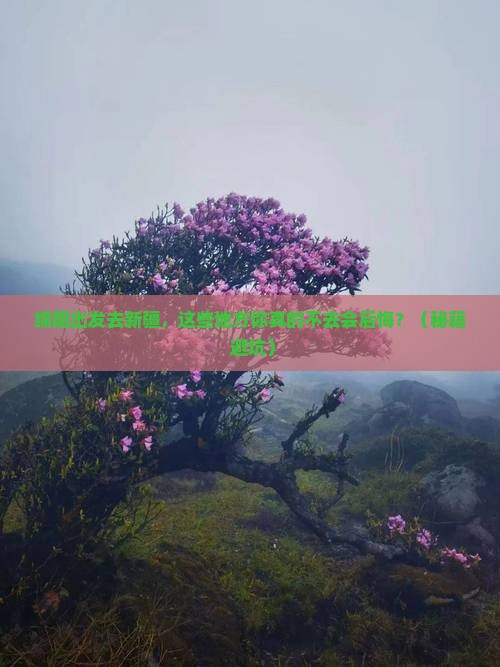 绵阳到新疆必去地