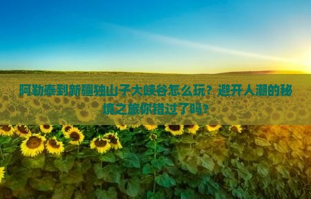 阿勒泰到新疆独山子大峡谷团体旅游