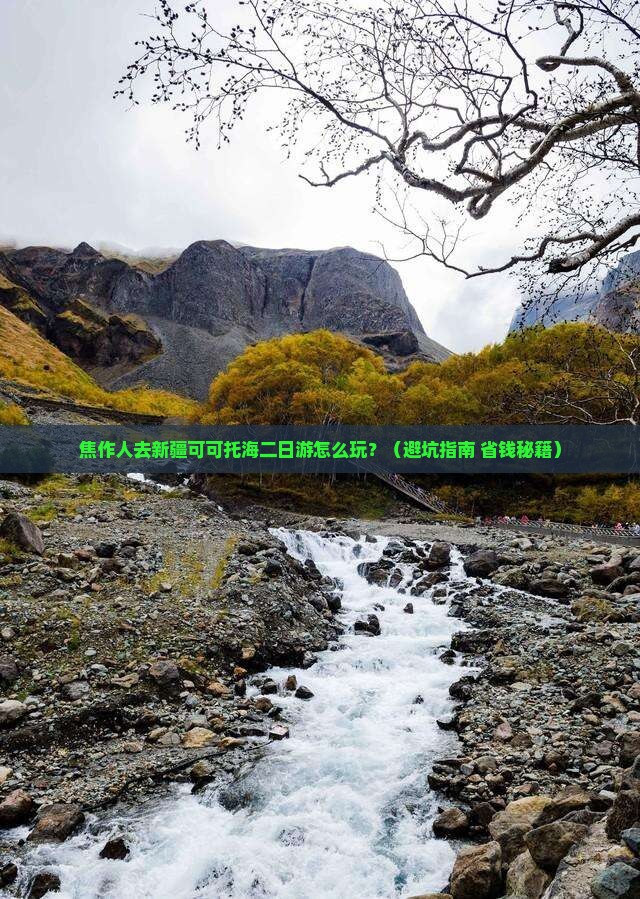 焦作去新疆可可托海二日游 焦作去新疆可可托海二日游