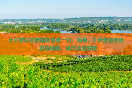 大兴安岭去新疆吐鲁番一日