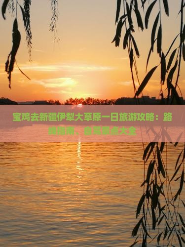 宝鸡去新疆伊犁大草原一日