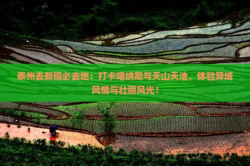 泰州去新疆必去地