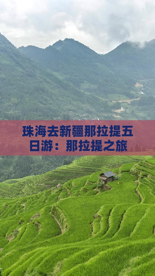 珠海去新疆那拉提五日游