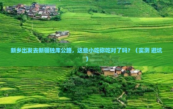 新乡到新疆独库公路旅游小吃