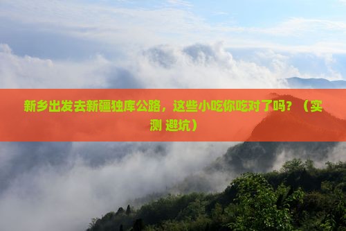 新乡到新疆独库公路旅游小吃