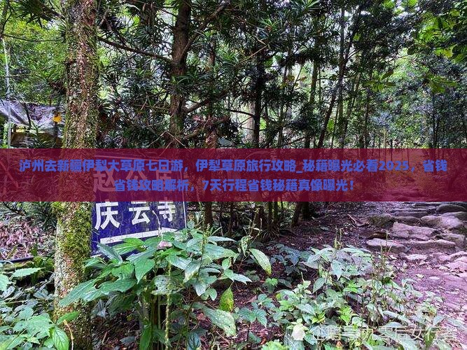 泸州去新疆伊犁大草原七日游