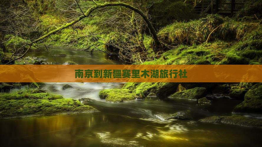 南京到新疆赛里木湖旅行社