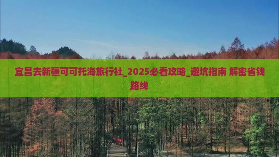 宜昌去新疆可可托海旅行社
