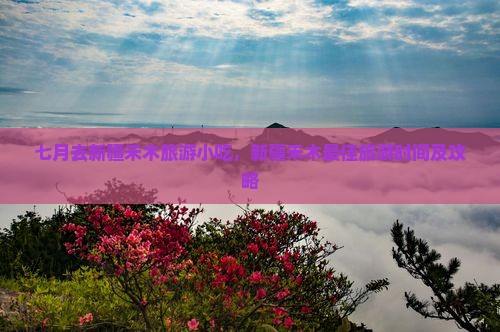 七月去新疆禾木旅游小吃