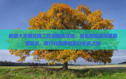 大丰到新疆那拉提二日游 大丰到新疆那拉提二日游