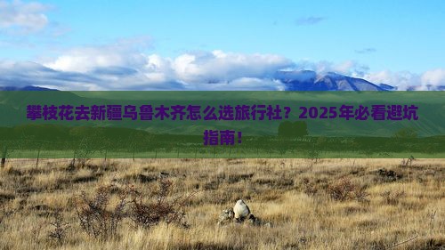 攀枝花去新疆乌鲁木齐旅行社