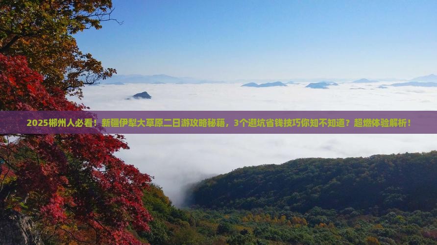 郴州到新疆伊犁大草原二日游