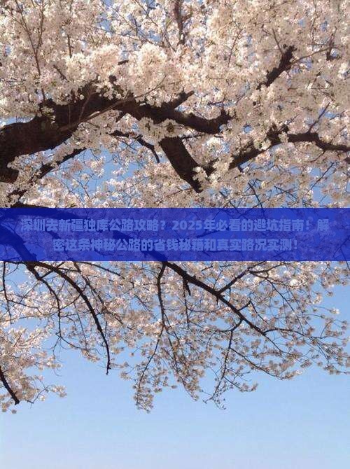 深圳去新疆独库公路攻略