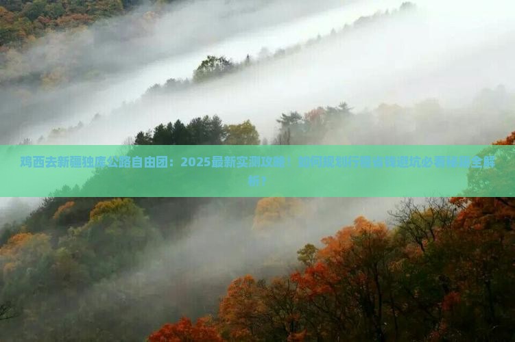 鸡西去新疆独库公路自由团