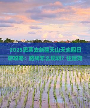 思茅去新疆天山天池四日游