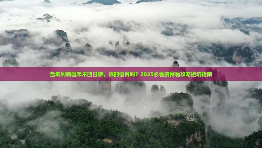 盐城到新疆禾木四日游