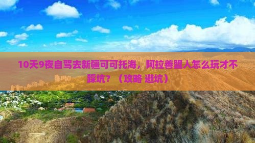 阿拉善盟去新疆可可托海个人游
